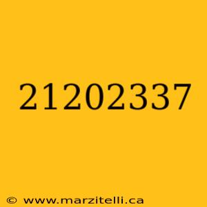 21202337