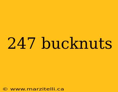 247 bucknuts
