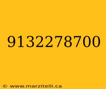 9132278700