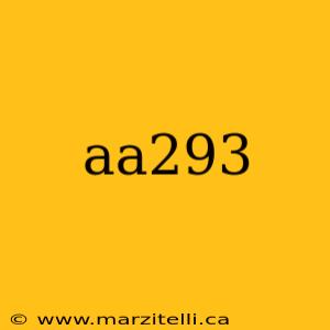 aa293