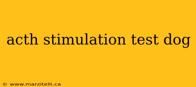 acth stimulation test dog