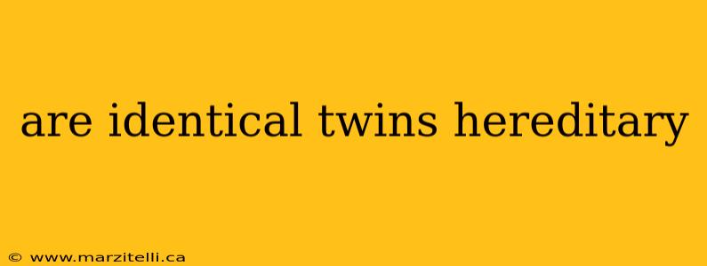 are identical twins hereditary