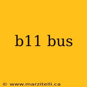 b11 bus