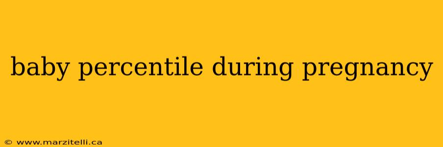 baby percentile during pregnancy