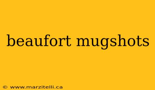 beaufort mugshots