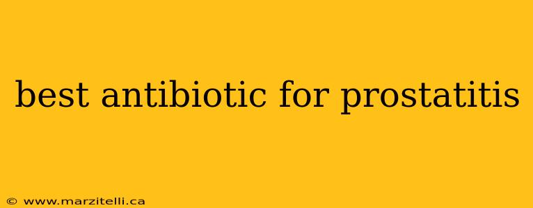 best antibiotic for prostatitis