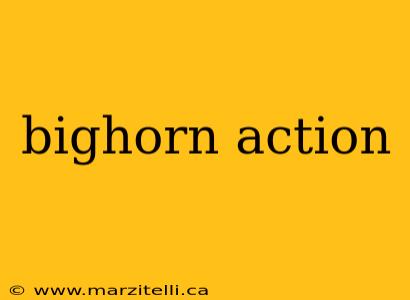 bighorn action
