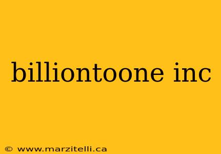billiontoone inc