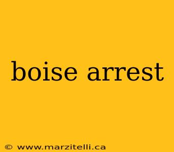 boise arrest