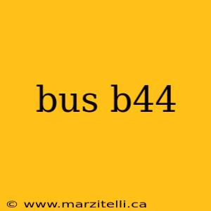 bus b44