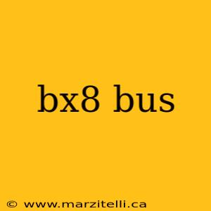 bx8 bus