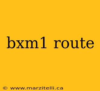 bxm1 route