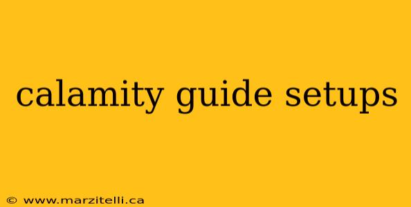 calamity guide setups