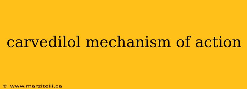 carvedilol mechanism of action