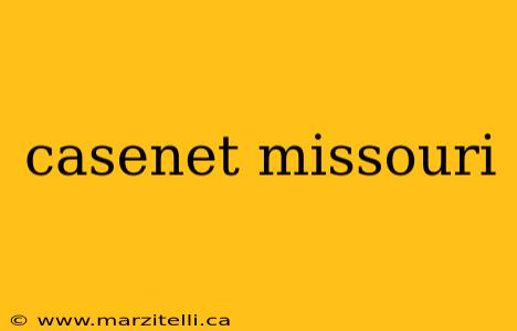 casenet missouri