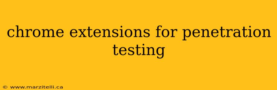 chrome extensions for penetration testing