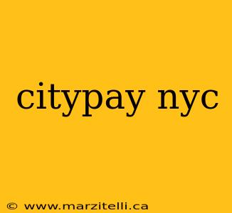 citypay nyc