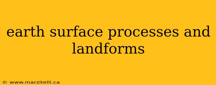 earth surface processes and landforms