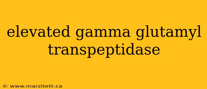 elevated gamma glutamyl transpeptidase