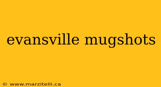 evansville mugshots