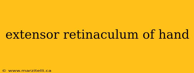 extensor retinaculum of hand