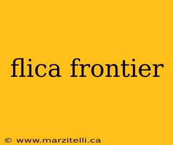 flica frontier