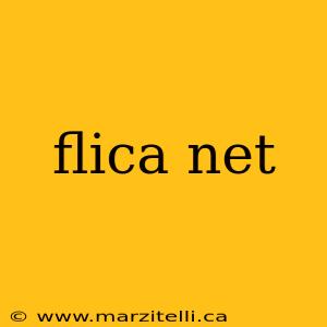 flica net