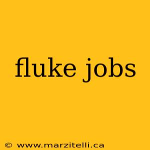 fluke jobs