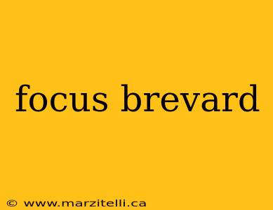 focus brevard