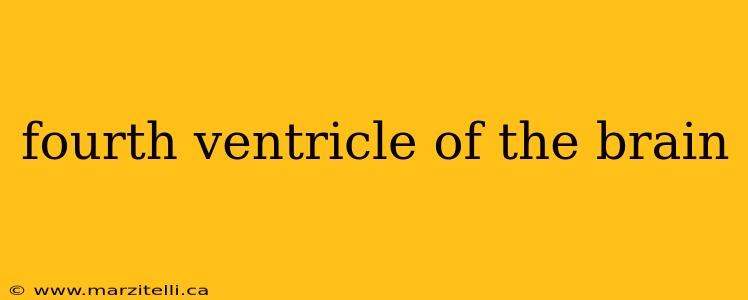 fourth ventricle of the brain