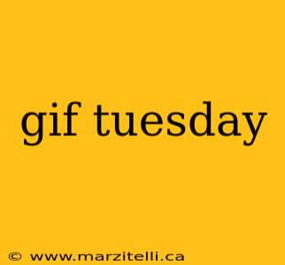 gif tuesday
