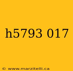 h5793 017