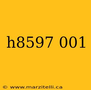 h8597 001
