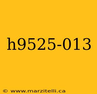 h9525-013