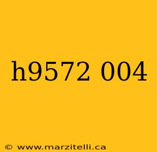h9572 004