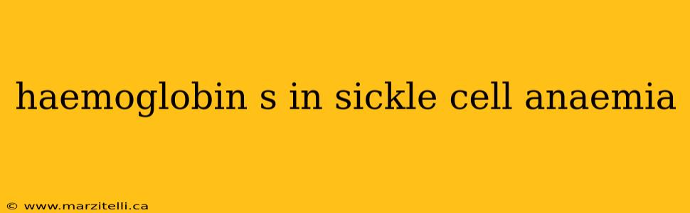 haemoglobin s in sickle cell anaemia