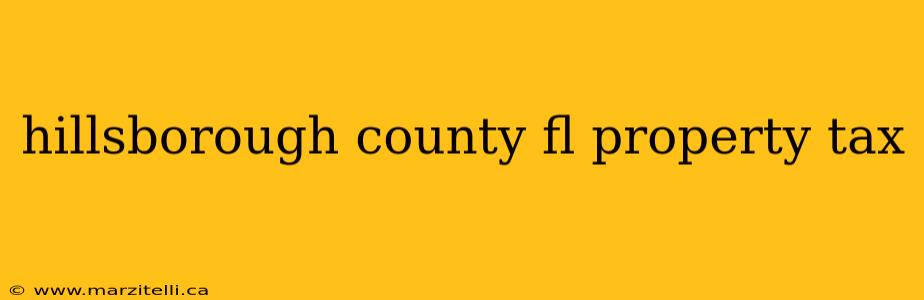 hillsborough county fl property tax