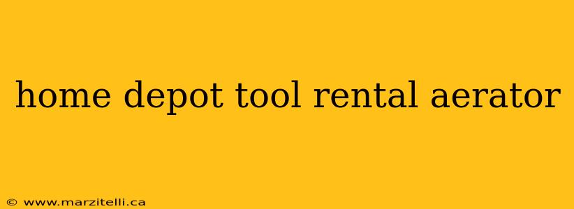 home depot tool rental aerator