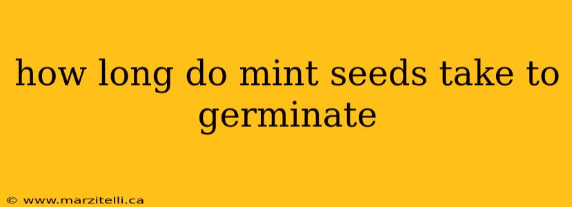 how long do mint seeds take to germinate