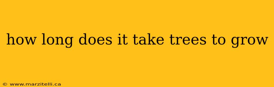 how long does it take trees to grow