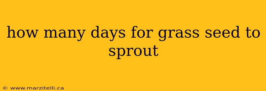 how many days for grass seed to sprout