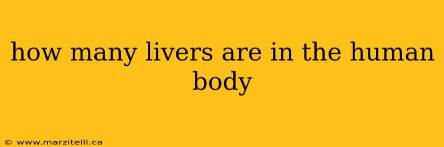 how many livers are in the human body