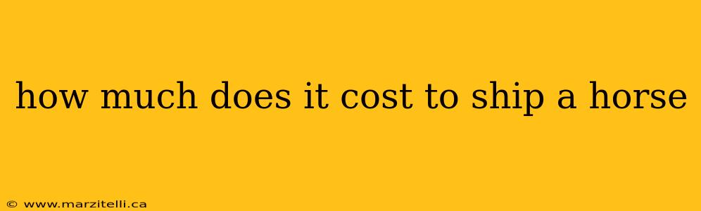 how much does it cost to ship a horse