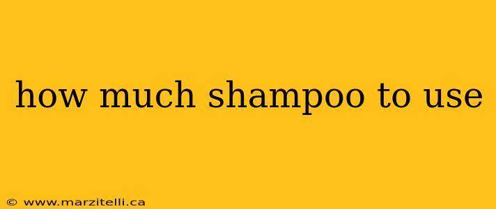 how much shampoo to use
