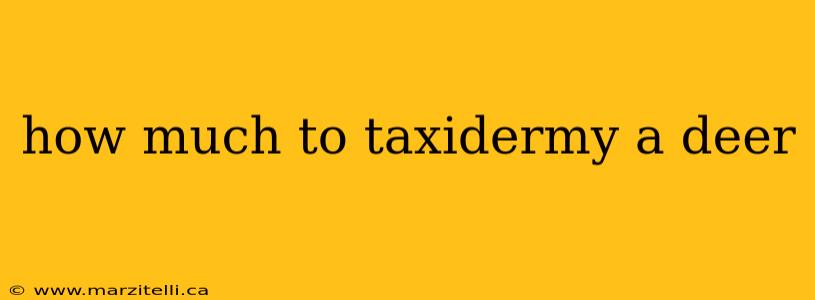 how much to taxidermy a deer