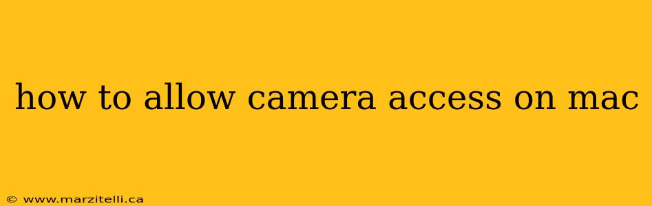 how to allow camera access on mac