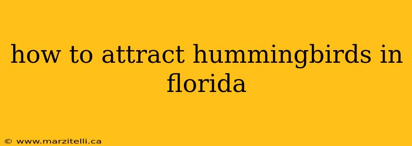 how to attract hummingbirds in florida