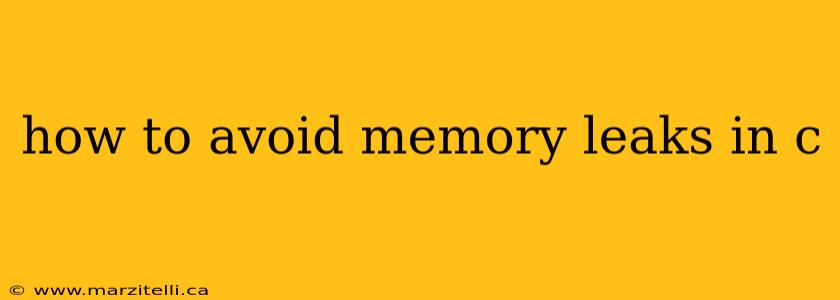 how to avoid memory leaks in c