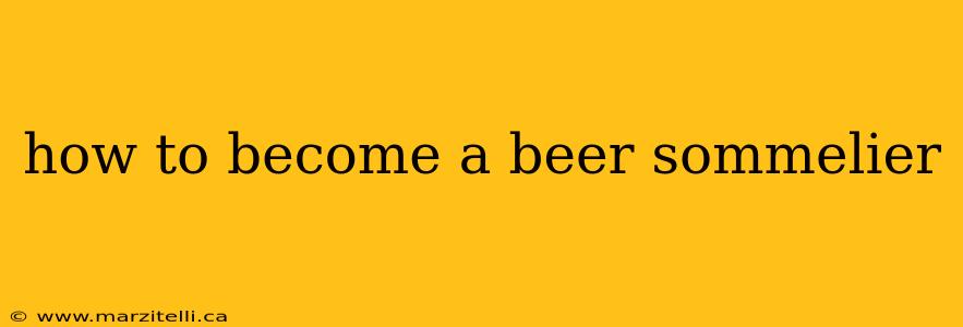 how to become a beer sommelier