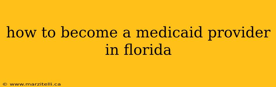 how to become a medicaid provider in florida